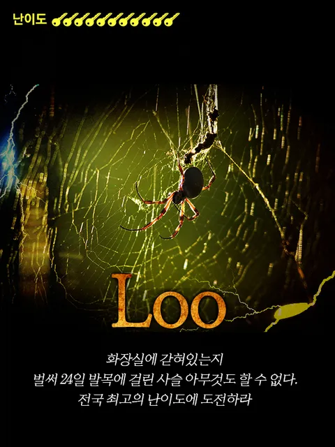 loo